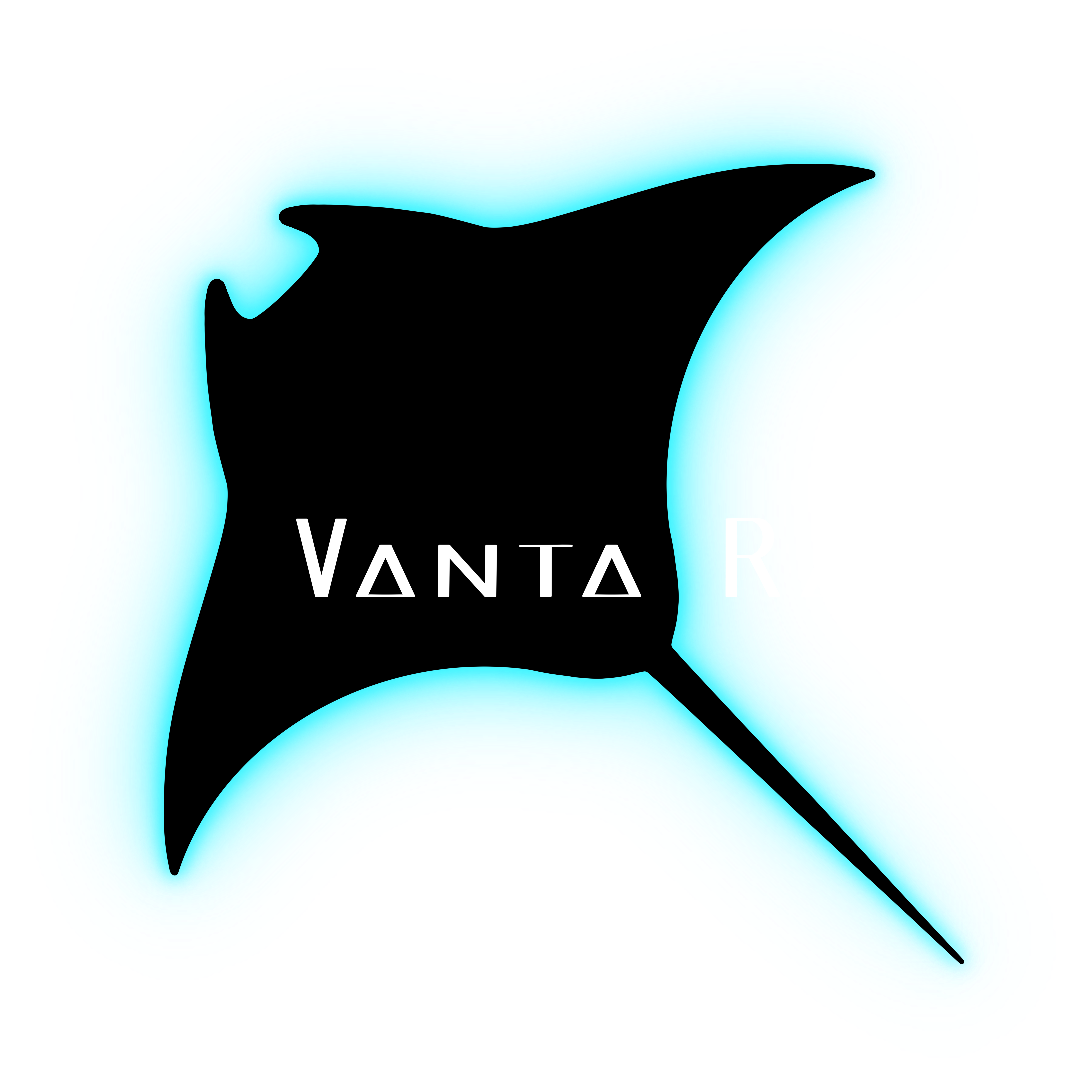 Vanta Ray Art logo
